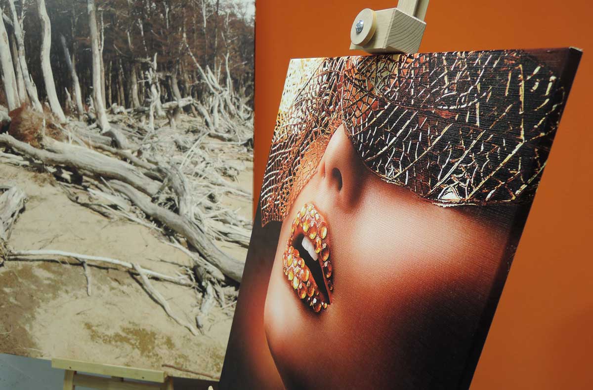 tisk fotoobrazů Olomouc